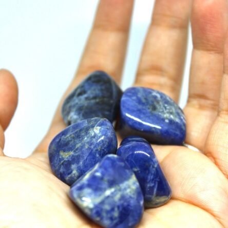 Aceites esenciales que resuenan con el lapislázuli